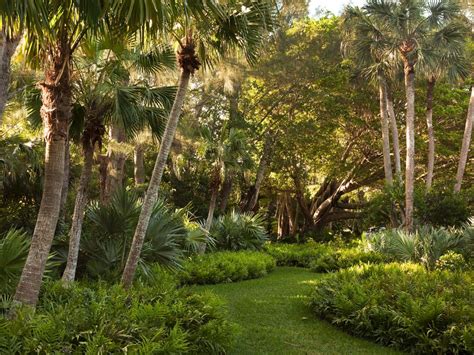 Raymond Jungles Inc Hawaii Landscape Tropical Backyard Tropical