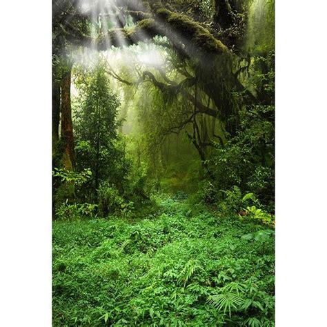 Mehofoto Background For Photo Studio Fairy Tale Forest Moon Jungle