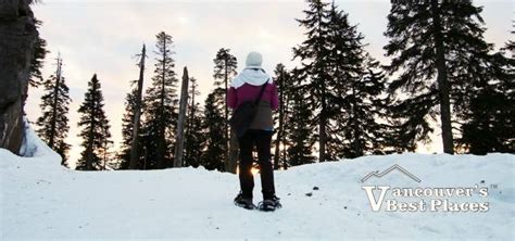 Snowshoeing At Grouse Mountain Vancouvers Best Places