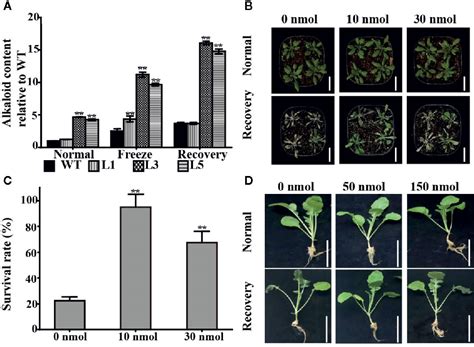 Frontiers A Brassica Napus Reductase Gene Dissected By Associative