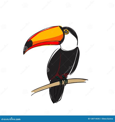 Toucan Bird Colorful Cartoon Character Cute Toucan Sitting On Branch