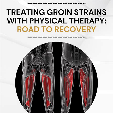 Groin Strain Recovery Timeline With Physical Therapy
