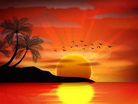 Tropical Background Vector