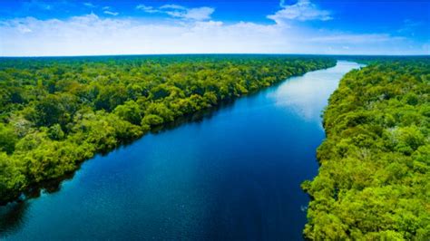 Amazon Rainforest Might Turn Into Arid Savannah Within 50 Years Tech