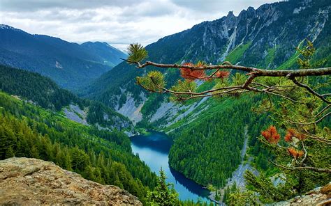 Lindeman Lake From Goat Ridge British Columbia Landscape Trees