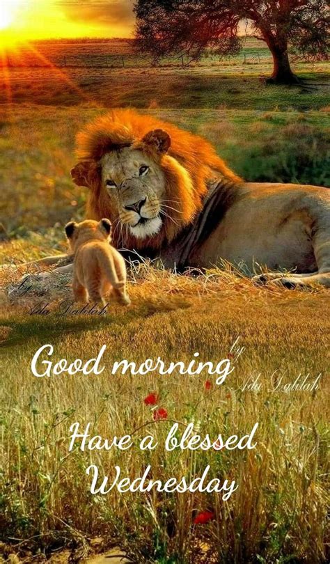 Morning is the most excellent time to wish your adored one by extraordinary great morning cherish messages to create his/her day more upbeat, pleasant and beneficial! Pin by Brijesh David on Good Morning | Animals beautiful ...
