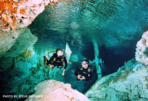 This Cenote Is Considered One Of The Best Dives In The Riviera Maya