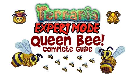Terraria Queen Bee Expert Guide Normal Too Drops Boss