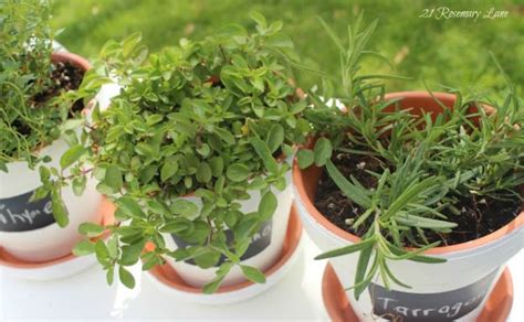 Diy Herb Garden Tabletop Herb Garden In Separate Pots With Chalkboard
