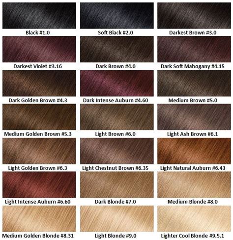 Garnier Hair Dye Colour Chart Focus