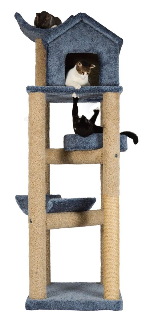 14 Best Extra Large Cat Furniture Images On Pinterest