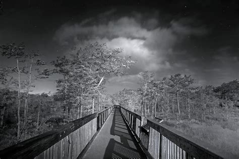 Moonlight Trail Photograph By Mark Andrew Thomas Fine Art America