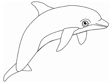 Dolphin Coloring Pages 11 Coloring Kids