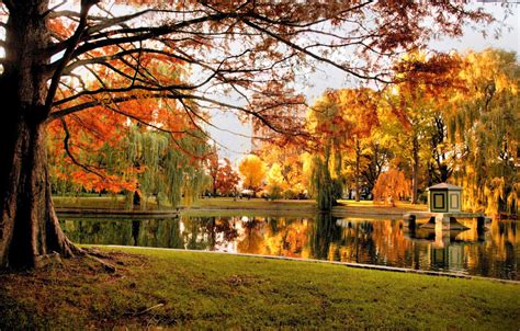 Wallpaper Autumn Trees Nature Pond Park Usa Boston