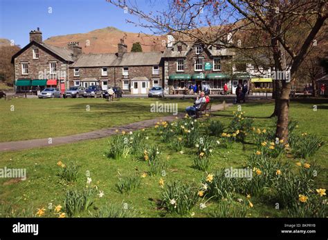Grasmere Cumbria England Uk Pretty Village Green With Daffodils In