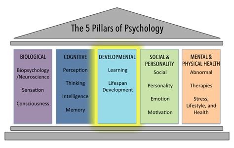 The Developmental Domain Introduction To Psychology