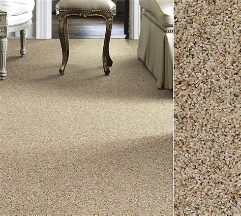 Shaw Carpeting A Front Runner In The World Of Carpets