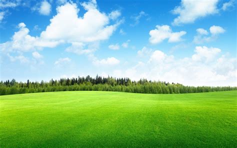 Free Download Beautiful Green Landscape Wallpaper 11 Landscape