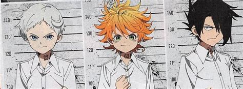 Yonkouproductions On Twitter The Promised Neverland Anime Staff