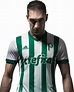 Fernando Prass football render - 39033 - FootyRenders