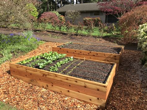 How To Make A Veg Raised Bed
