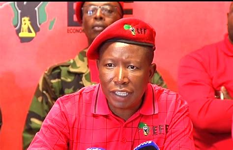 Govt Should Have Prioritised Free Education 25 Years Ago Malema