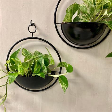 Hanging Metal Wall Planter In 2021 Metal Wall Planters Wall Planter