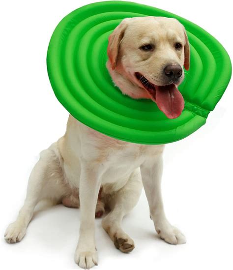 Top Three Pet Recovery Cone Alternatives For Tripawds Tripawds Gear