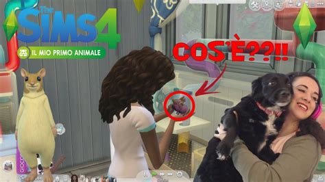 Vi Presento Il Cane Di Aurora The Sims 4 Il Mio Primo Animale Youtube