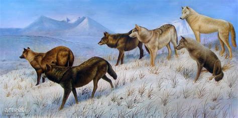 Mountain Wolves Art Paintings For Sale Online Gallery