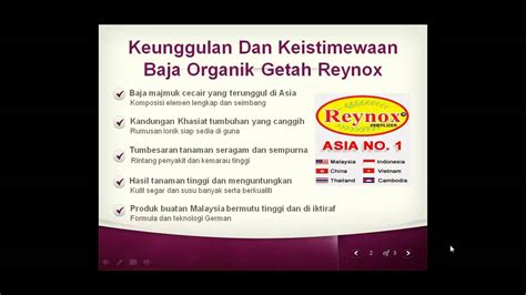 Salah satu yang utama adalah kelenjar getah bening yang berfungsi untuk menyaring cairan limfatik guna menghentikan penyebaran bakteri ke seluruh tubuh. Baja Getah Terbaik - No.1 Di Asia - YouTube