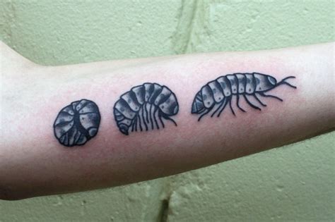 Black pill tattoo, aparecida de goiânia. Armadillidiidae: Aka Pill Bug, Sow Bug, and Roly Polie ...