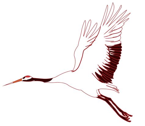 Crane Bird Crane Birds Animal Png Transparent Clipart Image And Psd