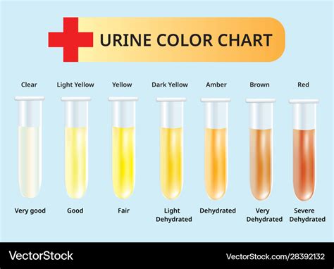 What The Color Of Your Pee Says About Your Health The Summit Express Urine Color Chart In Test