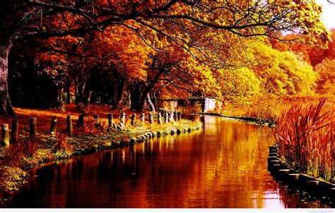 Autumn River In Forest 1920x1227 Wallpaper
