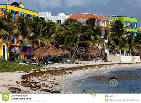 Akumal Beach Paradise Bay Beach In Quintana Roo Mexico Caribbean Coast Editorial Photo