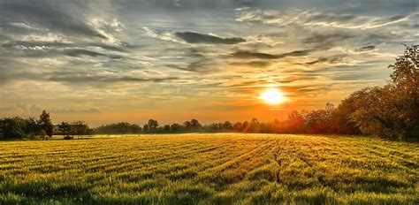 Sunset Field Trees Landscape Autumn Wallpapers Hd Desktop And