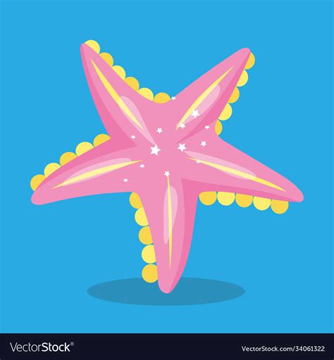 Mermaid Starfish Pink 14 Royalty Free Vector Image