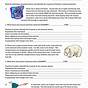 Evolution By Natural Selection Worksheets Answer Key