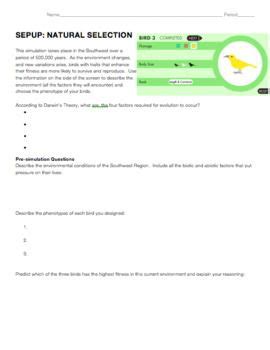 Deletion (a base is lost) insertion (an extra base is inserted) deletion and insertion may 22 awesome virtual lab dna and genes worksheet answers documents from dna mutations practice worksheet answer key , source:bradleymobilemedia.com you need to. Gene And Chromosome Mutation Worksheet Answer Key - worksheet