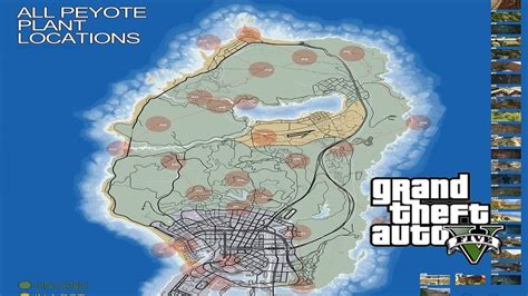 Gta 5 Peyote Plant Locations On Map Maps For You