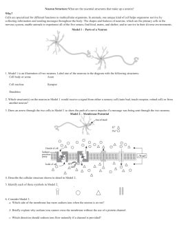 This 29 neuron structure pogil answer key fpress, as one of the most keen sellers here will unquestionably be in the course of the best options to review. studylib.net - Essys, homework help, flashcards, research ...