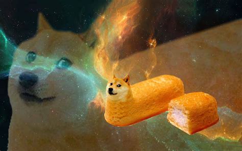 Image 644865 Doge Know Your Meme