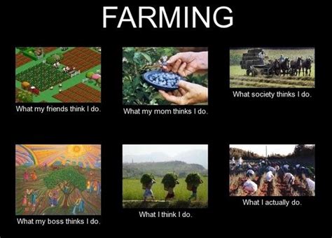 Farming Funnymemes Pinterest