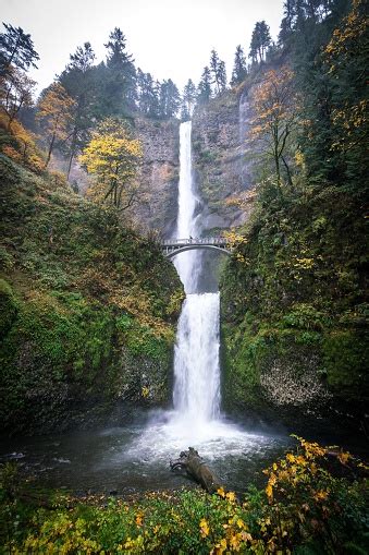 Fall Colors Of Multnomah Falls Stock Photo Download Image Now Istock