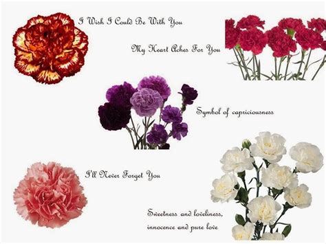 Find your birth month flower below, then read about your friends and loved ones! Dreaming of Summer (With images) | Birthday month flowers ...