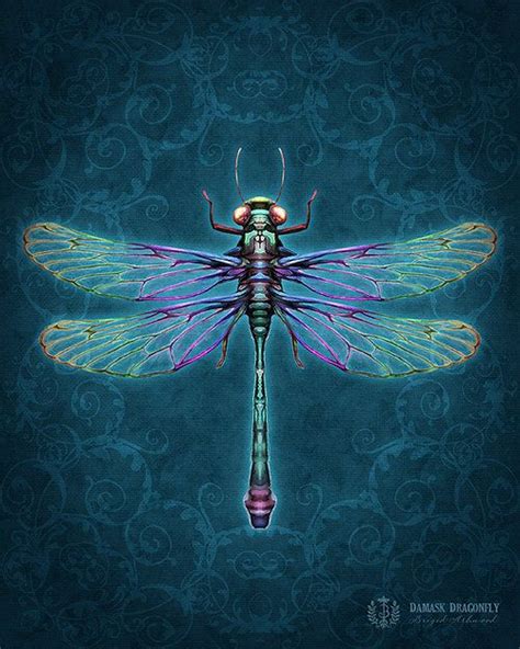 Damask Dragonfly Art Print Brigid Ashwood By Brigidashwood 1500