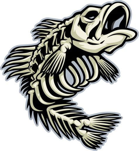 Cartoon Of The Largemouth Bass Jumping Out Of Water Illustrations
