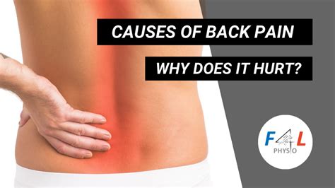 Causes Of Back Pain Why Does It Hurt Fitness 4 Life Physio And
