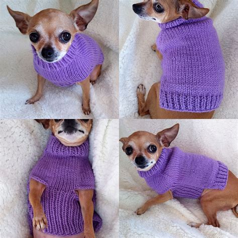 Dog Sweater Knitting Pattern For Small Dogs